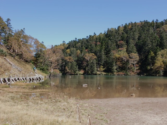 d0010065_20591389.jpg