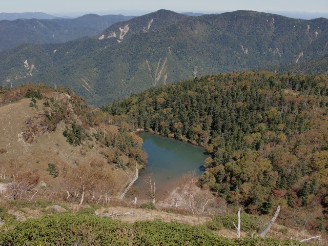 d0010065_205924100.jpg