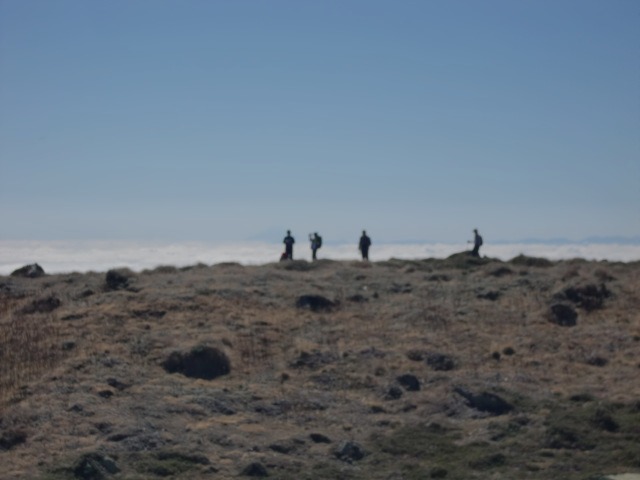 d0010065_2105055.jpg