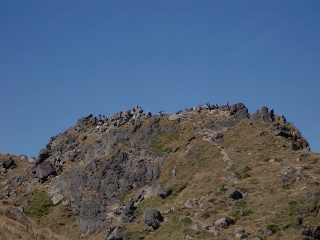 d0010065_2105869.jpg