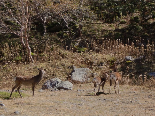 d0010065_211273.jpg