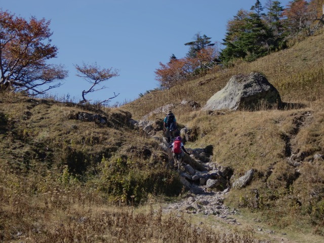 d0010065_2113057.jpg