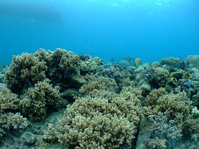 b0033573_17121333.jpg