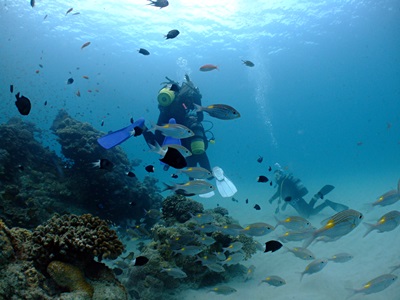 b0033573_17122734.jpg