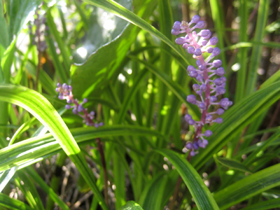 c0289473_11592167.jpg
