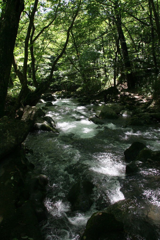 e0118274_1857235.jpg