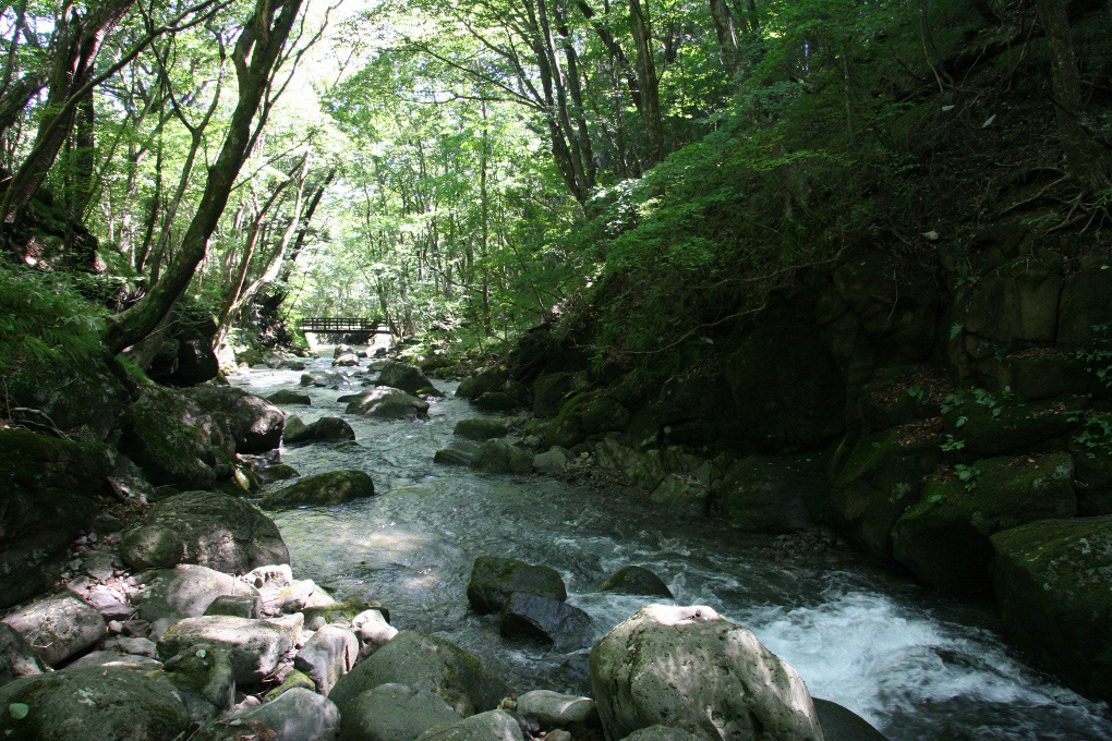 e0118274_18575018.jpg