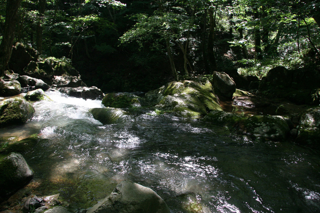 e0118274_18575612.jpg