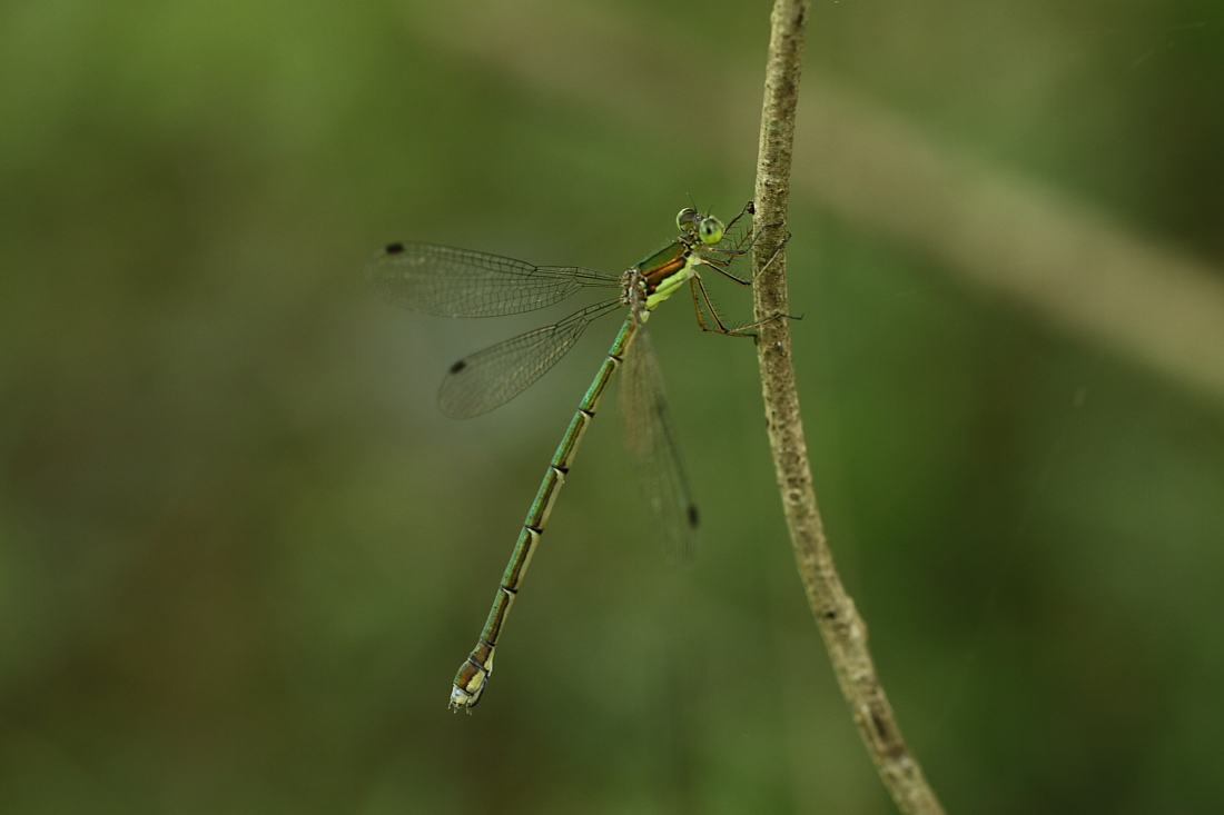 e0249878_2252259.jpg