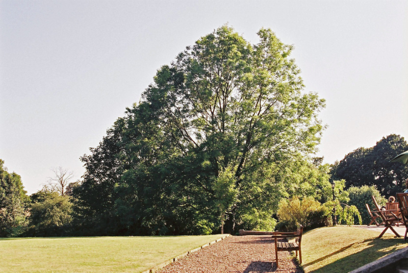 b0178479_20152777.jpg
