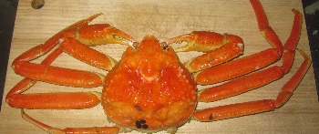 f0003283_403798.jpg