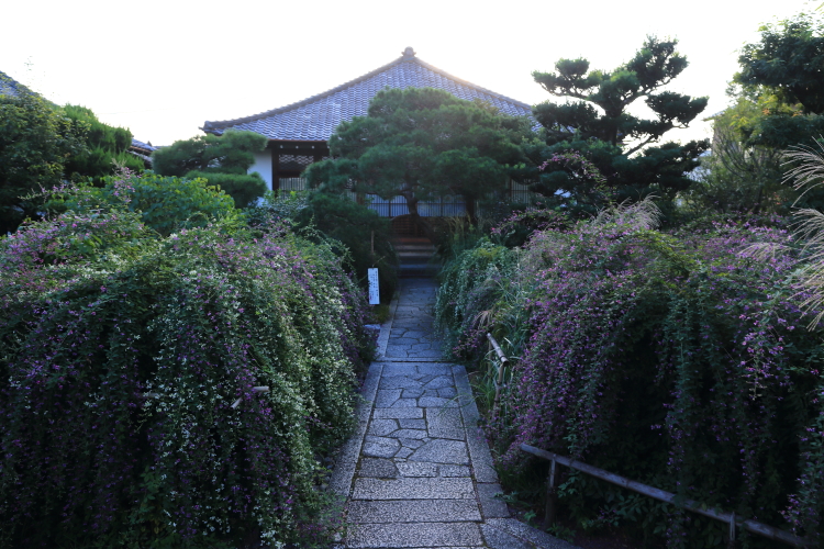 e0051888_231260.jpg
