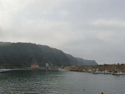 e0145589_2323298.jpg