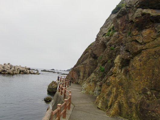 e0145589_232388.jpg