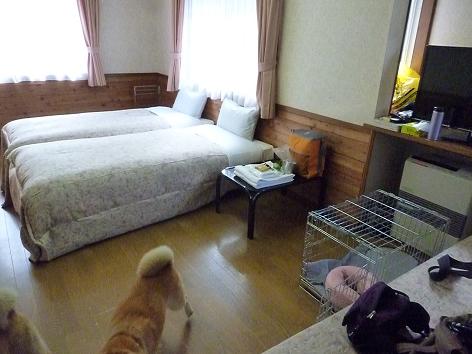 c0123890_1613287.jpg
