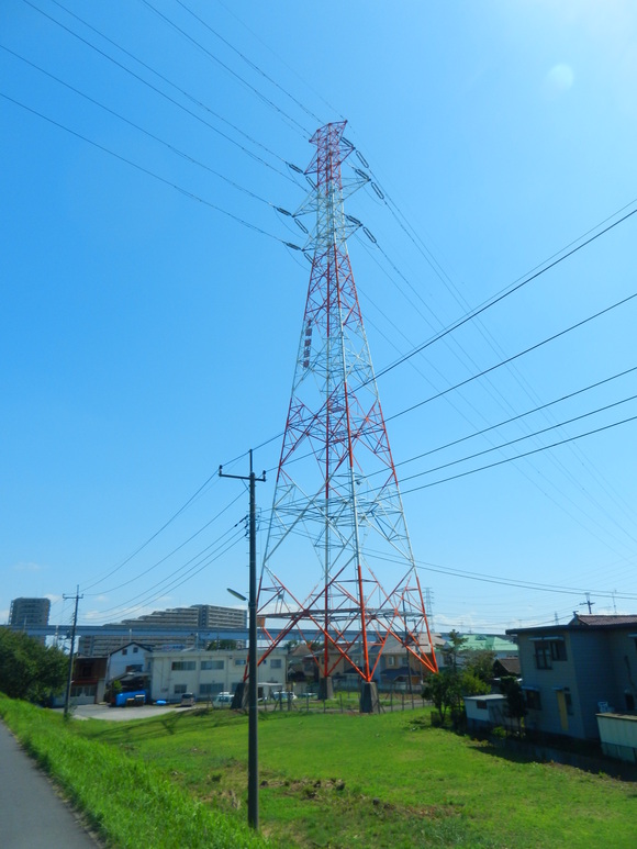 d0224990_1661021.jpg