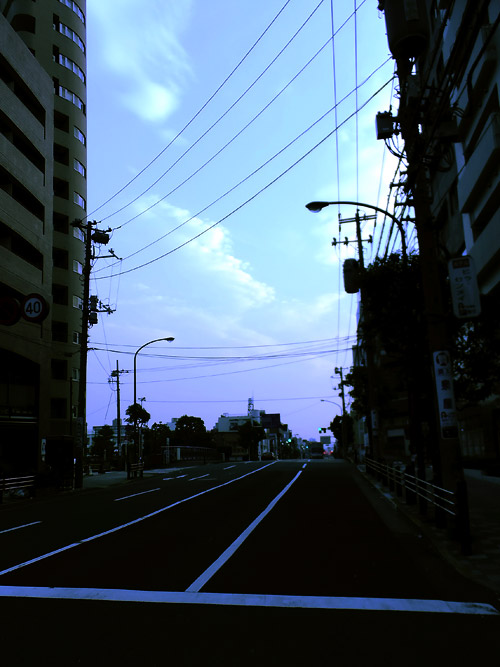 c0001491_1014127.jpg