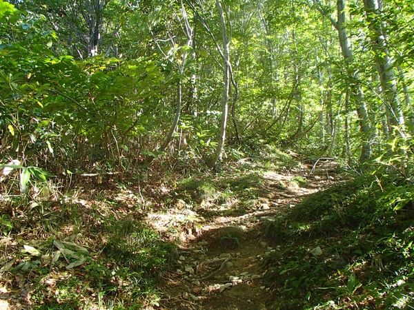 b0039898_21524754.jpg