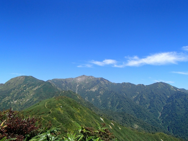 b0039898_21531216.jpg