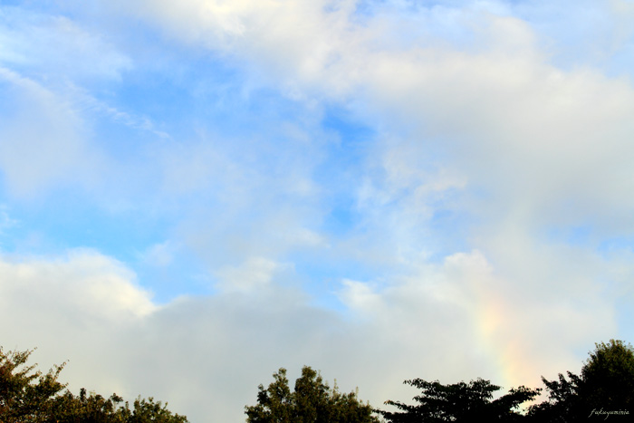 f0185802_2248184.jpg
