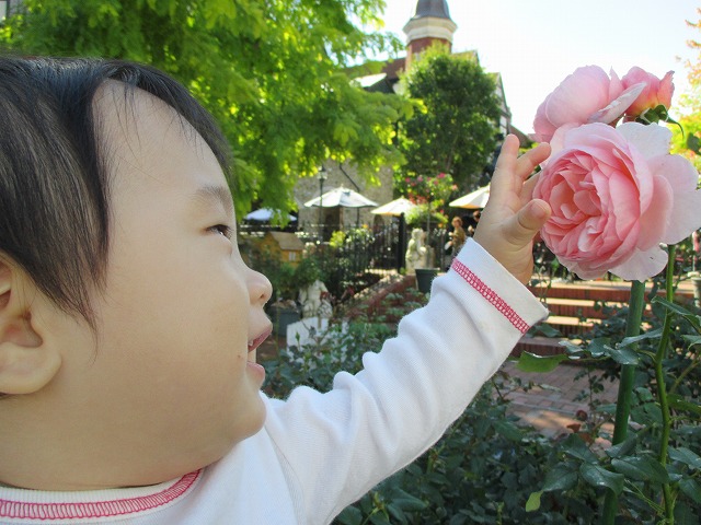 f0202703_21234086.jpg