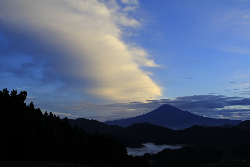 a0188405_9492560.jpg