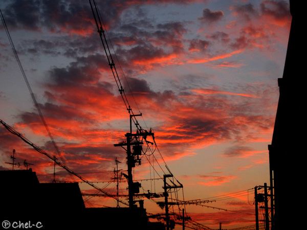 a0154706_781479.jpg