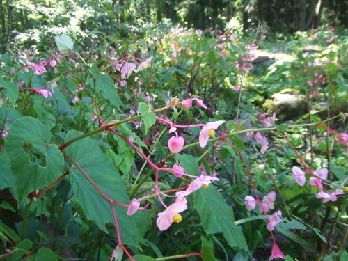 f0161708_22401298.jpg
