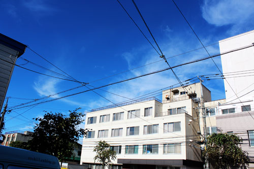 a0139912_8361944.jpg