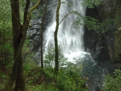 e0284019_21274438.jpg