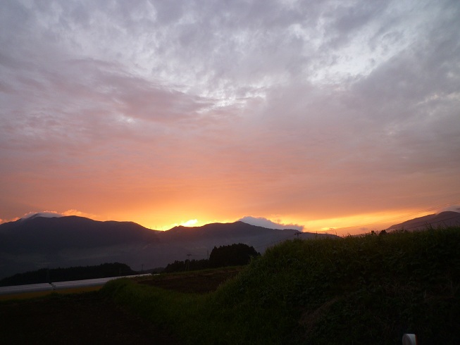 f0031420_550191.jpg