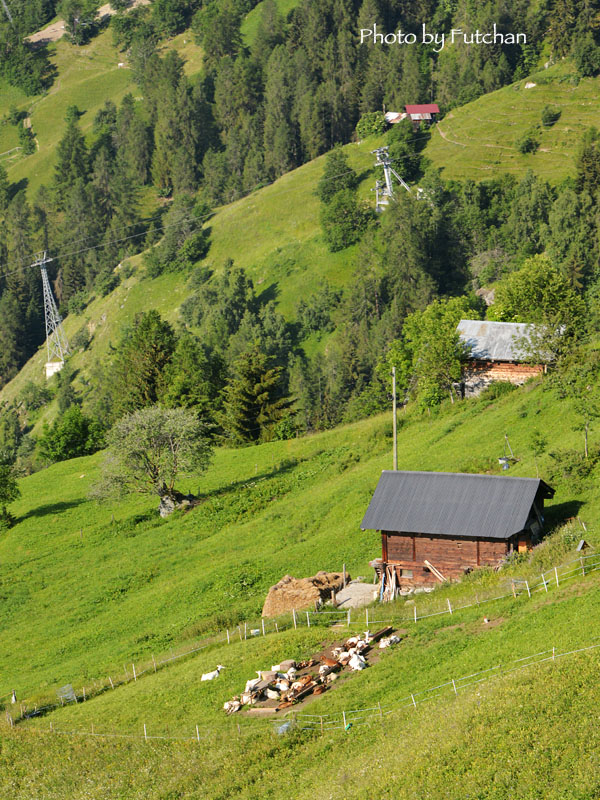 a0158226_2220589.jpg