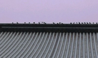 e0107030_20282045.jpg