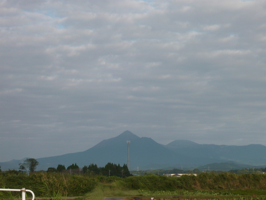 a0206332_739108.jpg