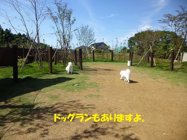 e0196135_22112871.jpg