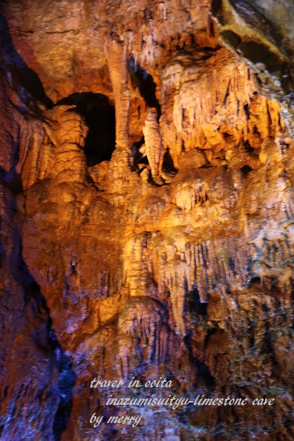 a0207736_225261.jpg