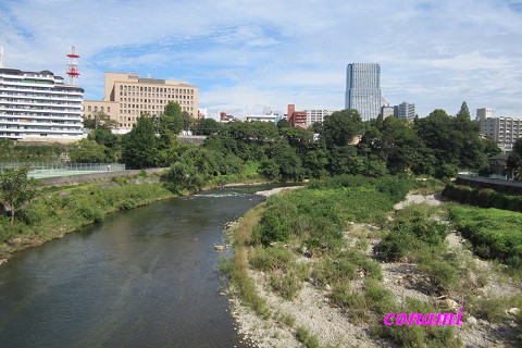 e0291638_9215733.jpg