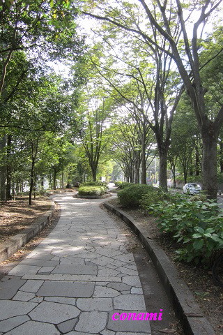 e0291638_9263336.jpg