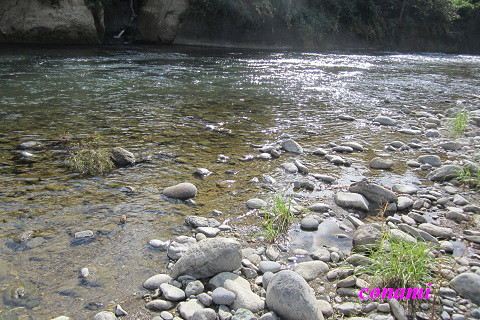 e0291638_9352297.jpg