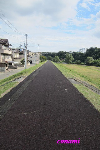 e0291638_9372350.jpg