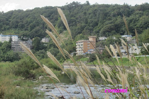 e0291638_9391040.jpg