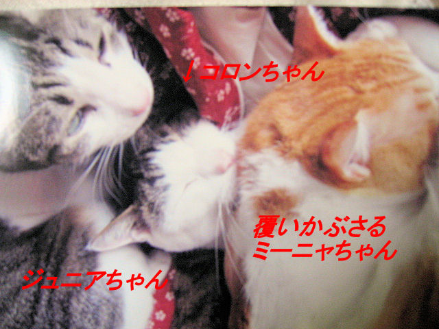 a0149240_13113638.jpg