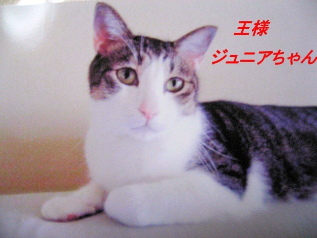 a0149240_13185588.jpg