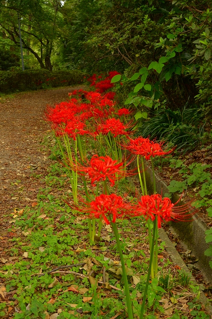c0220040_23195080.jpg