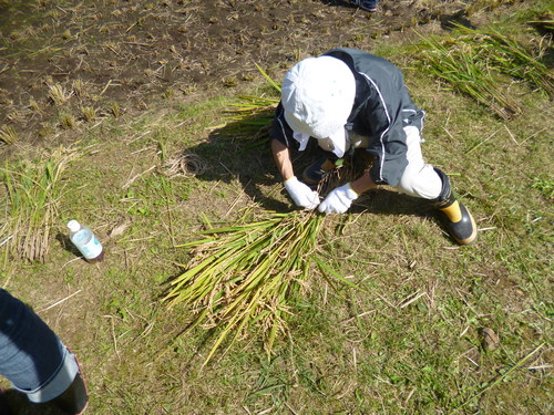 c0233141_1653332.jpg