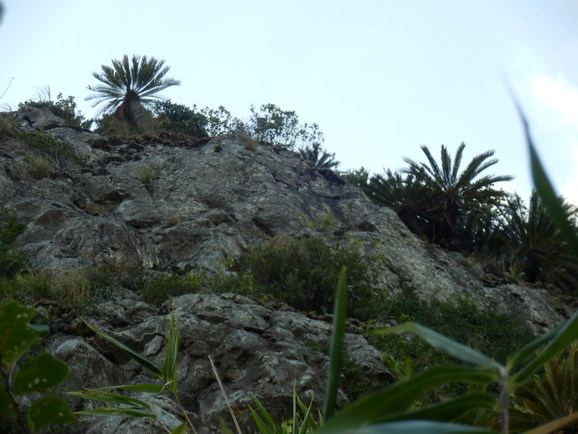 a0265945_2022090.jpg