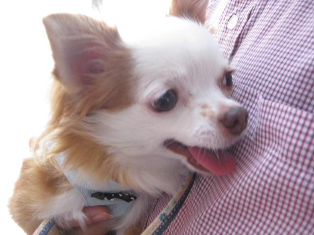c0134645_0165854.jpg