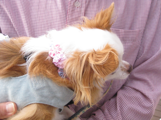 c0134645_0173181.jpg