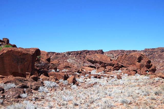 c0011649_002610.jpg