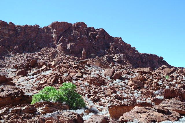 c0011649_01330.jpg